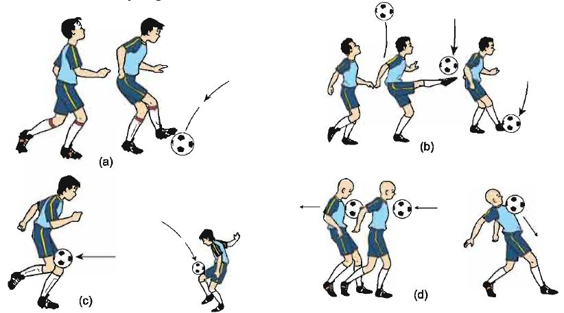 bola sepak peraturan permainan aturan fisika budaya biologi olahraga ekonomi seni pastiguna